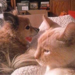 Meet your Posher, Lois